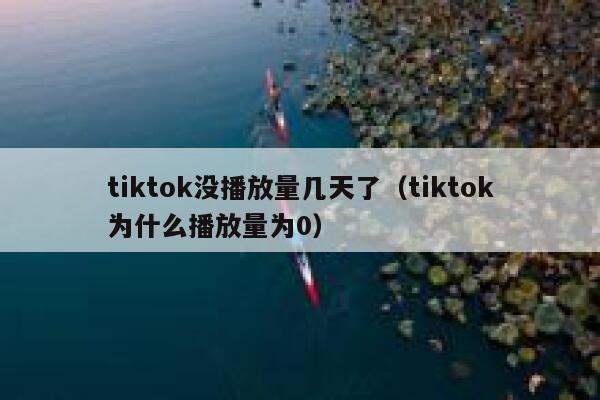 tiktok没播放量几天了（tiktok为什么播放量为0） 第1张