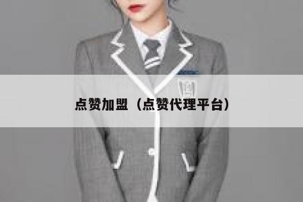 点赞加盟（点赞代理平台） 第1张