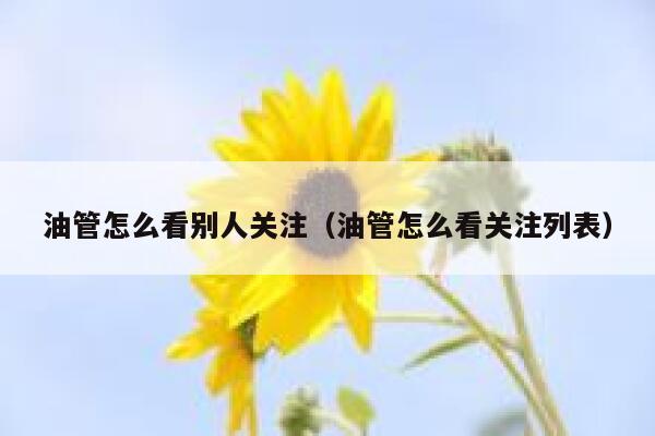 油管怎么看别人关注（油管怎么看关注列表） 第1张
