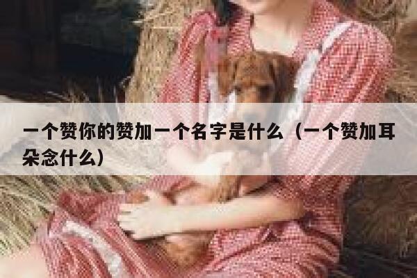 一个赞你的赞加一个名字是什么（一个赞加耳朵念什么） 第1张