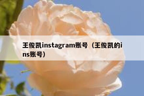 王俊凯instagram账号（王俊凯的ins账号） 第1张