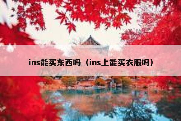ins能买东西吗（ins上能买衣服吗） 第1张
