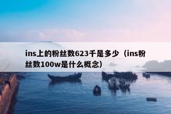 ins上的粉丝数623千是多少（ins粉丝数100w是什么概念） 第1张