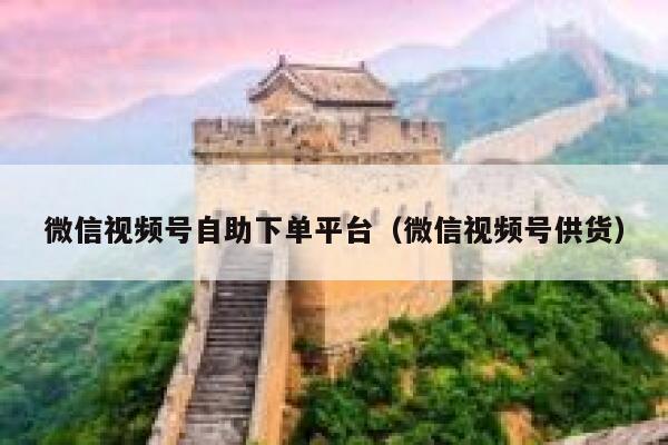 微信视频号自助下单平台(微信视频号供货) 第1张 微信视频号自助下单平台(微信视频号供货) 第1张