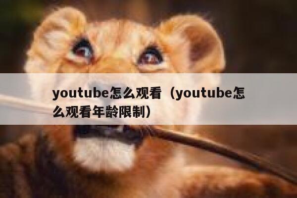 youtube怎么观看（youtube怎么观看年龄限制） 第1张