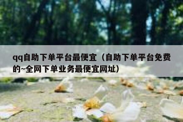 qq自助下单平台最便宜（自助下单平台免费的~全网下单业务最便宜网址） 第1张