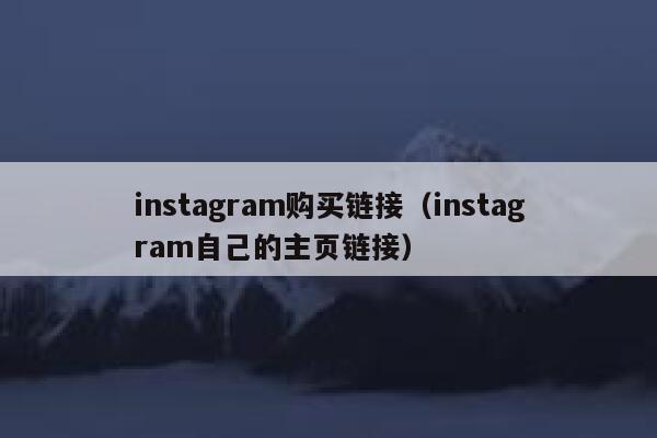 instagram购买链接（instagram自己的主页链接） 第1张