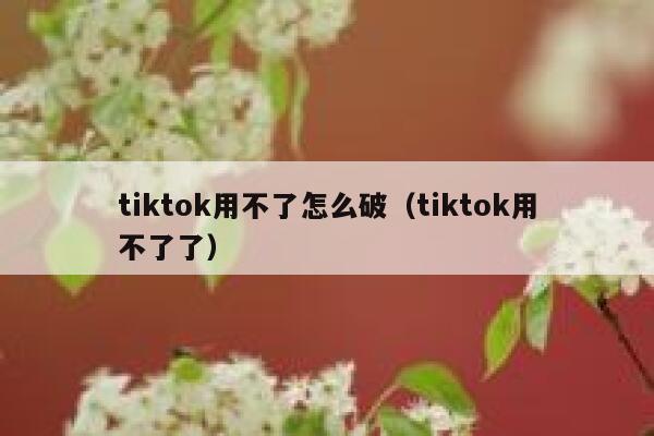 tiktok用不了怎么破（tiktok用不了了） 第1张