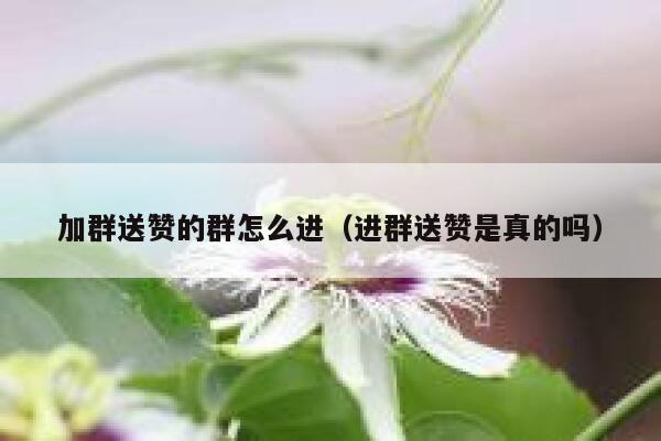 加群送赞的群怎么进(进群送赞是真的吗) 第1张 加群送赞的群怎么进(进群送赞是真的吗) 第1张