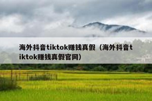 海外抖音tiktok赚钱真假(海外抖音tiktok赚钱真假官网) 第1张 海外抖音tiktok赚钱真假(海外抖音tiktok赚钱真假官网) 第1张