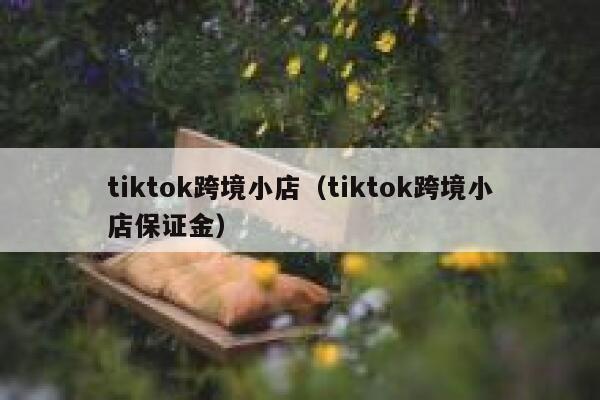 tiktok跨境小店（tiktok跨境小店保证金） 第1张