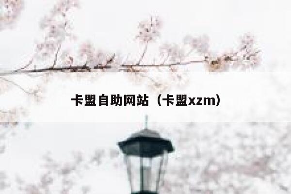 卡盟自助网站（卡盟xzm） 第1张