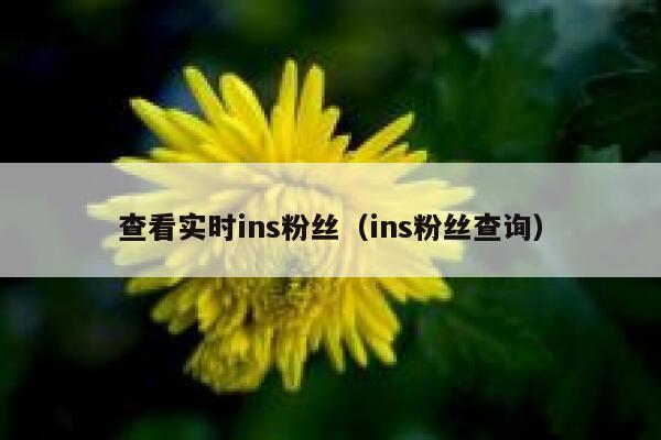 查看实时ins粉丝（ins粉丝查询） 第1张