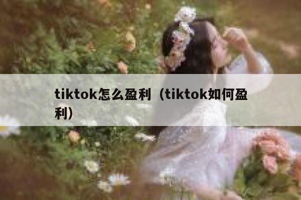 tiktok怎么盈利（tiktok如何盈利） 第1张