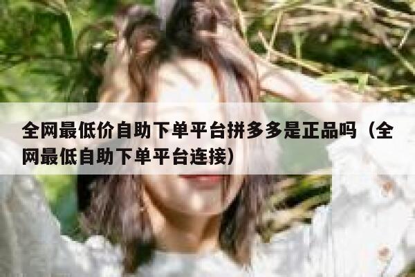 全网最低价自助下单平台拼多多是正品吗（全网最低自助下单平台连接） 第1张