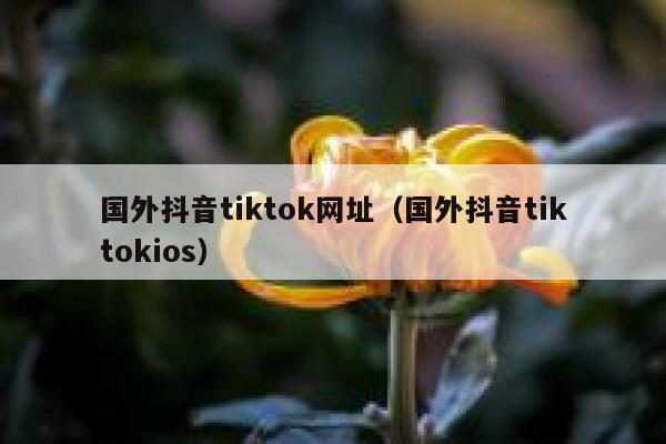 国外抖音tiktok网址（国外抖音tiktokios） 第1张