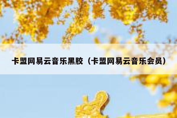 卡盟网易云音乐黑胶（卡盟网易云音乐会员） 第1张