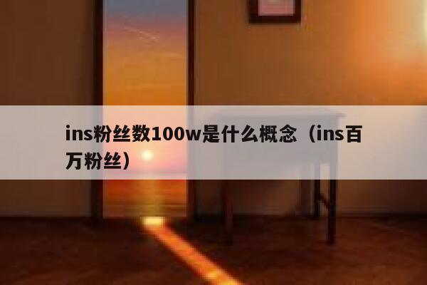 ins粉丝数100w是什么概念（ins百万粉丝） 第1张