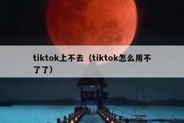 tiktok上不去（tiktok怎么用不了了） 第1张