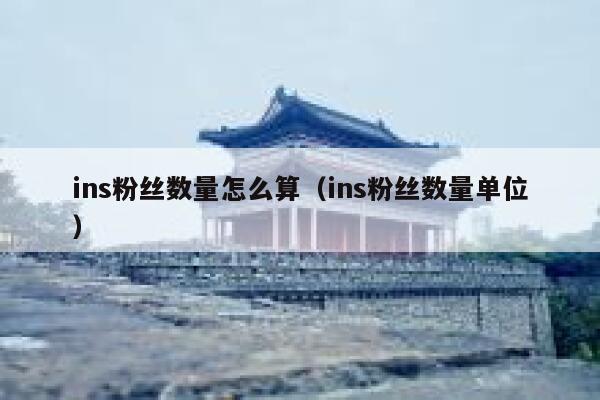 ins粉丝数量怎么算（ins粉丝数量单位） 第1张