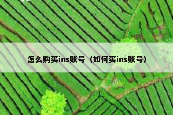 怎么购买ins账号（如何买ins账号） 第1张