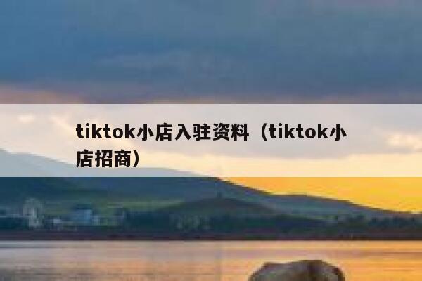 tiktok小店入驻资料（tiktok小店招商） 第1张
