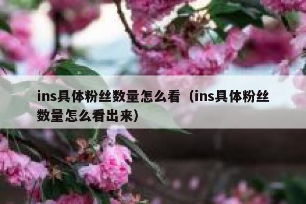 ins具体粉丝数量怎么看（ins具体粉丝数量怎么看出来） 第1张