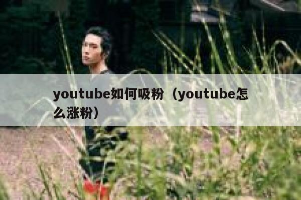 youtube如何吸粉（youtube怎么涨粉） 第1张
