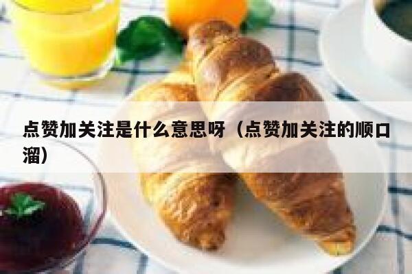 点赞加关注是什么意思呀（点赞加关注的顺口溜） 第1张