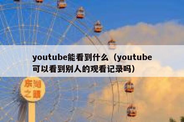 youtube能看到什么（youtube可以看到别人的观看记录吗） 第1张