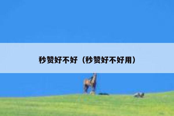 秒赞好不好（秒赞好不好用） 第1张