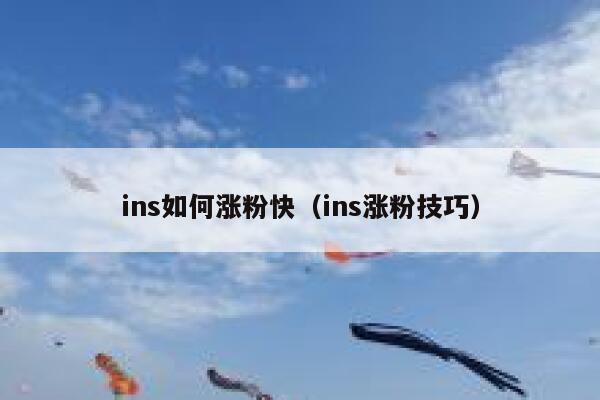 ins如何涨粉快（ins涨粉技巧） 第1张