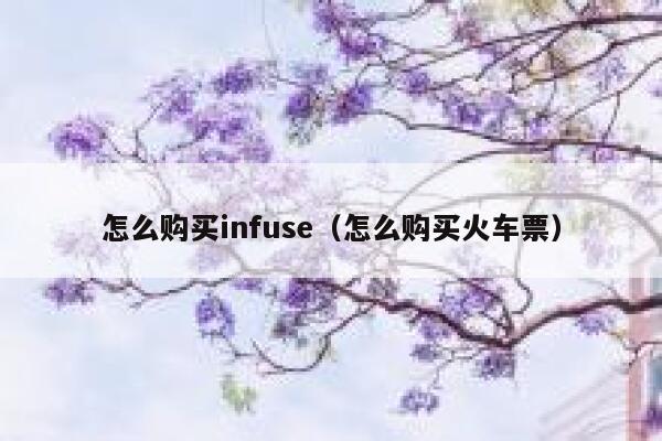 怎么购买infuse（怎么购买火车票） 第1张