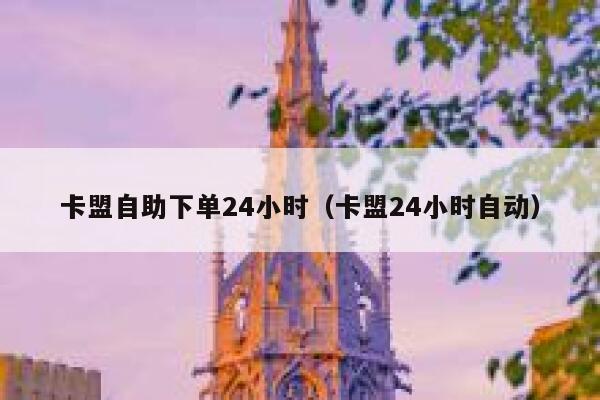 卡盟自助下单24小时（卡盟24小时自动） 第1张