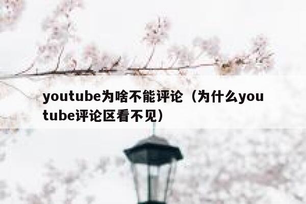 youtube为啥不能评论（为什么youtube评论区看不见） 第1张