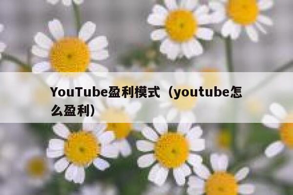 YouTube盈利模式（youtube怎么盈利） 第1张