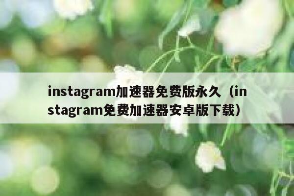 instagram加速器免费版永久（instagram免费加速器安卓版下载） 第1张