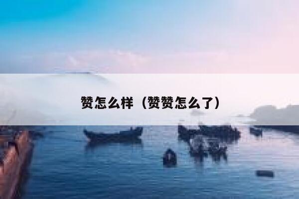 赞怎么样（赞赞怎么了） 第1张
