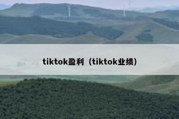 tiktok盈利（tiktok业绩） 第1张