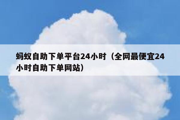 蚂蚁自助下单平台24小时（全网最便宜24小时自助下单网站） 第1张