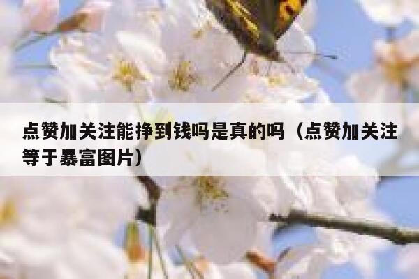 点赞加关注能挣到钱吗是真的吗（点赞加关注等于暴富图片） 第1张