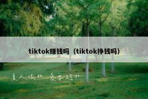 tiktok赚钱吗（tiktok挣钱吗） 第1张