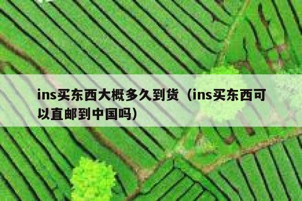 ins买东西大概多久到货（ins买东西可以直邮到中国吗） 第1张