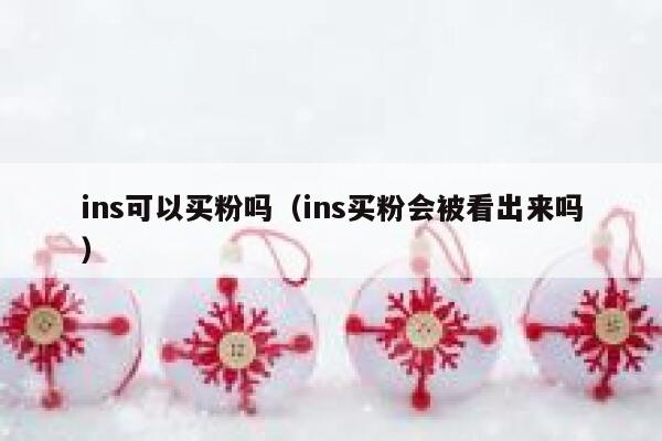 ins可以买粉吗（ins买粉会被看出来吗） 第1张