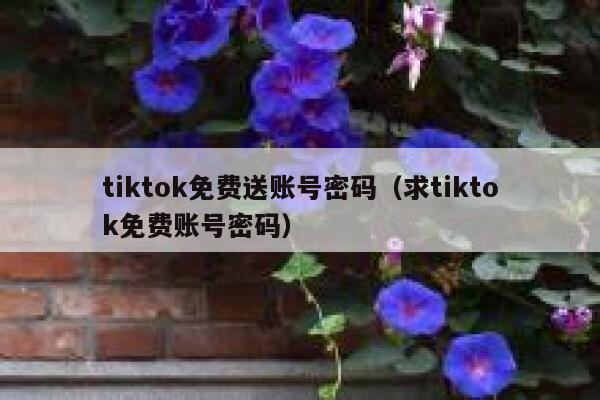 tiktok免费送账号密码（求tiktok免费账号密码） 第1张