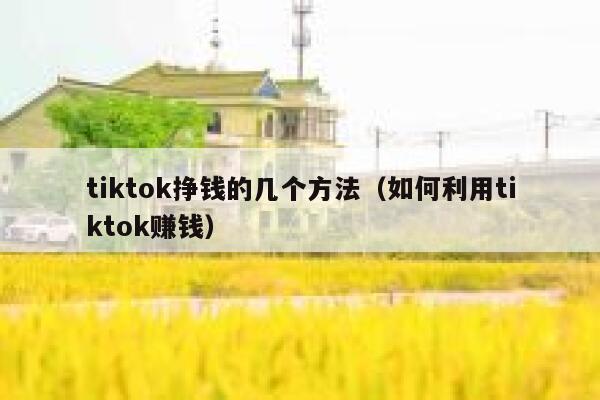 tiktok挣钱的几个方法(如何利用tiktok赚钱) 第1张 tiktok挣钱的几个方法(如何利用tiktok赚钱) 第1张