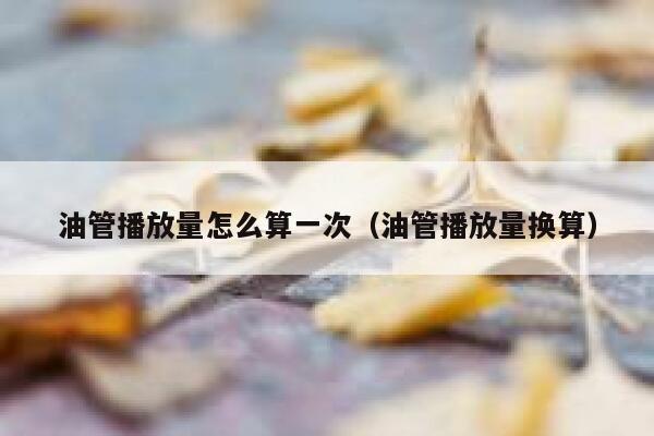 油管播放量怎么算一次（油管播放量换算） 第1张