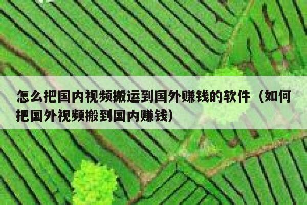 怎么把国内视频搬运到国外赚钱的软件（如何把国外视频搬到国内赚钱） 第1张