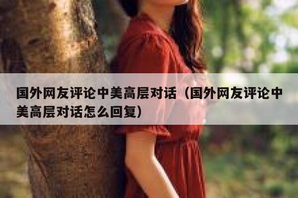 国外网友评论中美高层对话（国外网友评论中美高层对话怎么回复） 第1张
