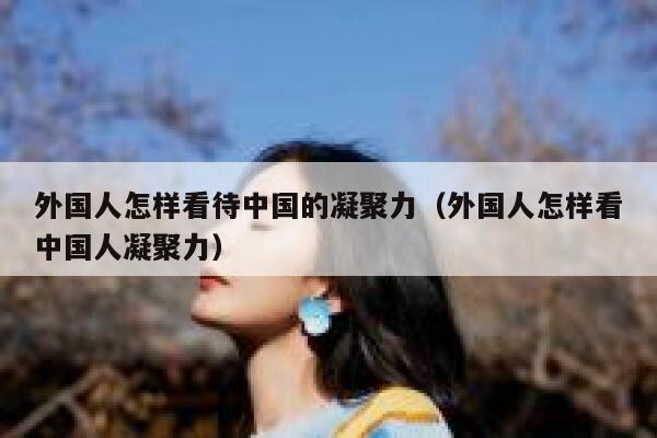 外国人怎样看待中国的凝聚力（外国人怎样看中国人凝聚力） 第1张